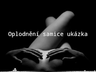 Oplodnění samice - audio