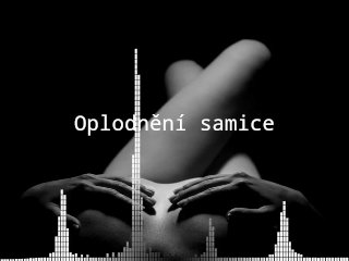 Oplodnění samice - erotic audio