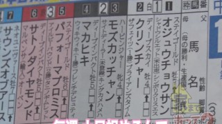 東北が生んだ鬼GAL