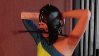 BDSM in action