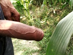 Indian big cock pissing in field public area 