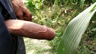 A Large Indian Cock Pissed In A Public Area In A Field