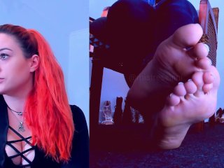 This Is Your New Home Under My_Desk with the Most Amazing View of My_Feet