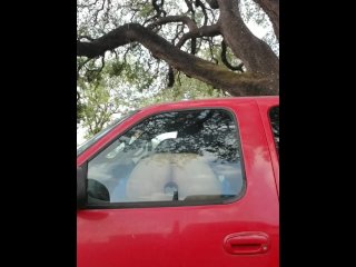 Fucking My Dildo In My Truck In Public