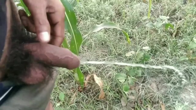 There are different Ways to Piss - I Love to Piss in Public, Indian village 