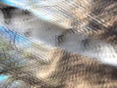 Голая русская девушка гуляет в лесу весной - Screenshot 11 of 16 - Nude