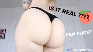 Is my ass real? Will I fuck a fan?? QnA + Twerking | Persephone Pink