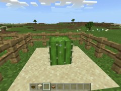 Minecraft Tips and Tricks