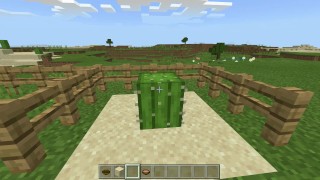 Minecraft Tips and Tricks