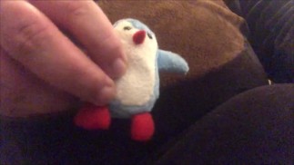 Медведь и пингвин