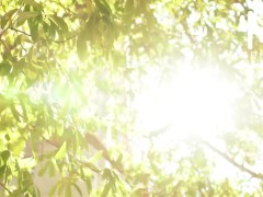 【国产】麻豆传媒作品 /精彩免费播放 - Screenshot 14 of 16 - 国产