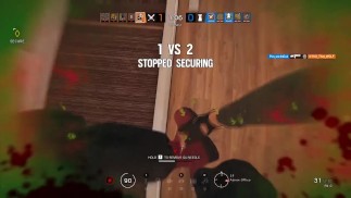 dankbow шесть трусиков raid