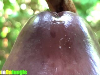 My Dripping Precum is enough to fill up yourTight Pussy Extreme Close Up Precum Play_(Loud Moaning)