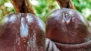 My Dripping Precum is enough to fill up your Tight Pussy Extreme Close Up Precum Play (Loud Moaning)
