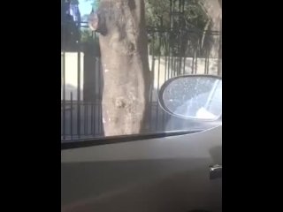 Super horny after work_French quarters