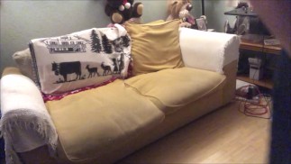 Видео запроса на Patreon