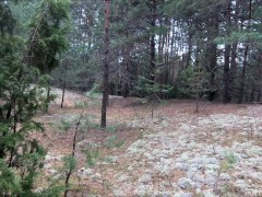 Голая русская эксгибиционистка на поле в лесу на озере - Screenshot 14 of 16 - Lake