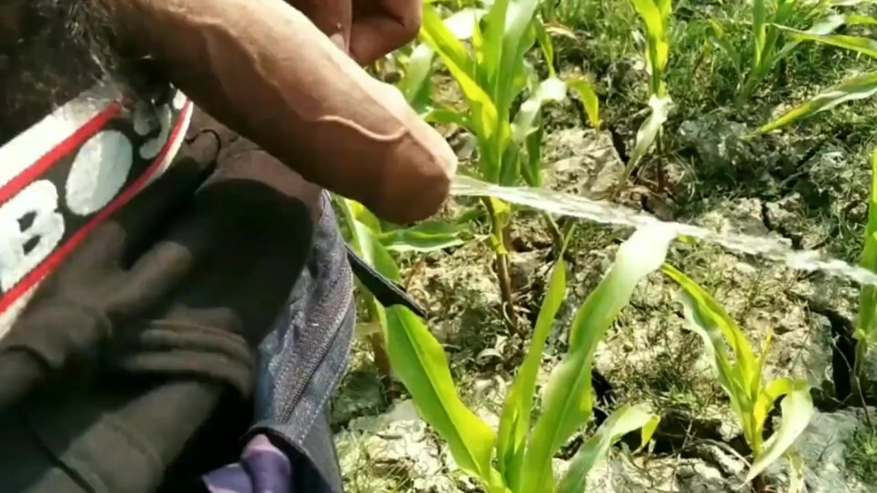 India outdoors Pissing 