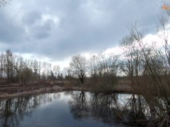 Нарисовала граффити и потрахалась рядом с мотоциклистом (русская, кончил на сиськи) - Screenshot 4 of 16 - Risky