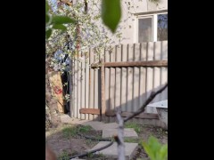 Blooming cherry