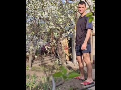 Blooming cherry - Screenshot 4 of 16 - Spring
