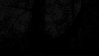 Привязана к дереву на улице в сексуальной одежде, в колготках и высоких ботильонах на каблуках, груб