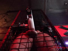 Cock pumping big cock to maximum limits Hands free cumshot bound patient