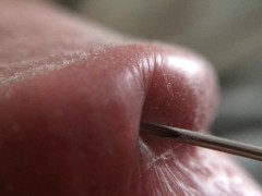 Penis Glans Tissue on Ultra Closeup HD View (Handheld Macro is a Real Challenge)