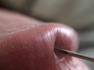 Penis Glans Tissue on Ultra Closeup HD View (Handheld Macro is a Real Challenge)