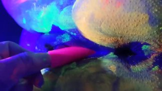 热门火种大学业余荡妇与萤光漆和黑光共享振动器