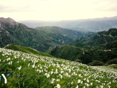 | JOY | [EN] A WALK IN THE PARK | JOI / JILL |