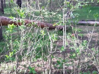 Меня с девушкой застукала прохожая в лесу, которая наблюдала за нашим сексом - lesbian_illusion