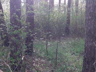 Наш секс в лесу сняла на камеру подруга, которая нас случайно застукала - lesbian_illusion