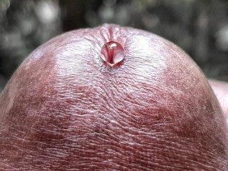 18-летний парень-подросток гладит свой член, пока не выскочит сперма! (Крупным планом Игра Сперма / Громкий Стонущий Кончил)