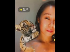 Cute Tiger - Screenshot 11 of 16 - Small Boobs