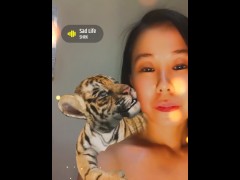 Cute Tiger