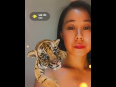 Cute Tiger - Screenshot 15 of 16 - Tiny Tits