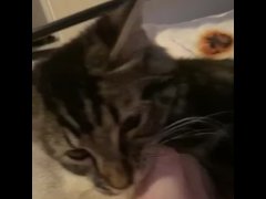 webbed toes - Screenshot 9 of 16 - 19