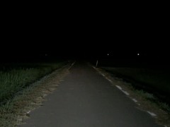 夜の田舎道でちょっとだけ露出 - Screenshot 5 of 16 - Collar