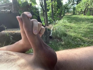 Riskantes Abspritzen im Garten in der_nähe vom Weg