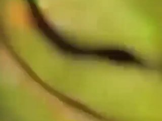 Caught in 4k Fucking your Earlobes
