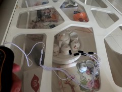 中国小伙使用跳蛋自慰高潮两次 - Screenshot 1 of 16 - Masturbate