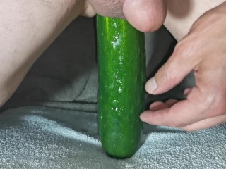 Long Cucumber Anal Insertion all in | Horsengine