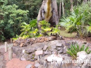 Aventura con los dinosaurios