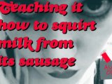 Teaching the pig how to squirt milk from its sausage ITS MY VOICE PITCHSHIFTED