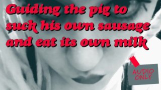 豚が自分のソーセージをしゃぶり、自分のミルクを食べるために導く