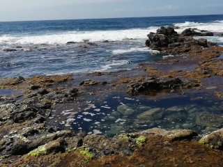 Hair cumshot in public