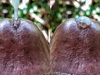 Huge Cum Explosion in the Jungle after a Horny Guy Attempted an Extreme Close up Precum Play