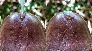 Huge Cum Explosion In The Jungle Following An Extreme Close Up Precum Play By A Horny Guy