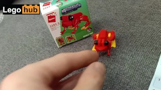 Vlog 39: Experiencing post nut depression? Watch this cute little red frog.